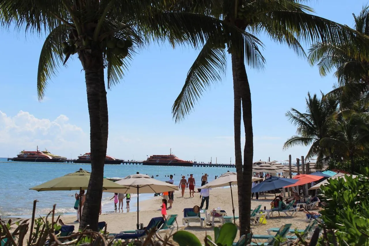 Vista Caribe Diving Resort Плая-дель-Кармен Отель
